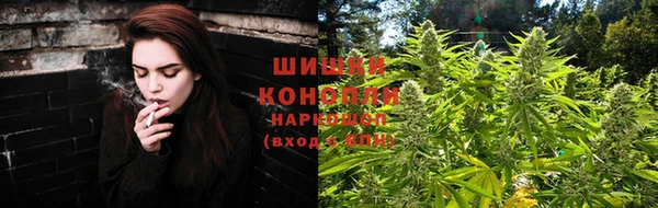 ПСИЛОЦИБИНОВЫЕ ГРИБЫ Нягань